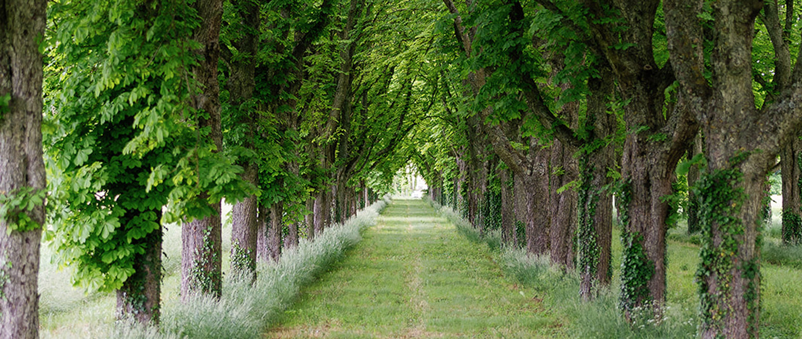 Image du parc du Domaine de Vantoux